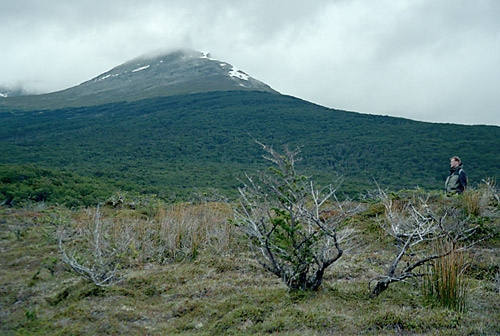 Parque Nacional de Ushuaia 4